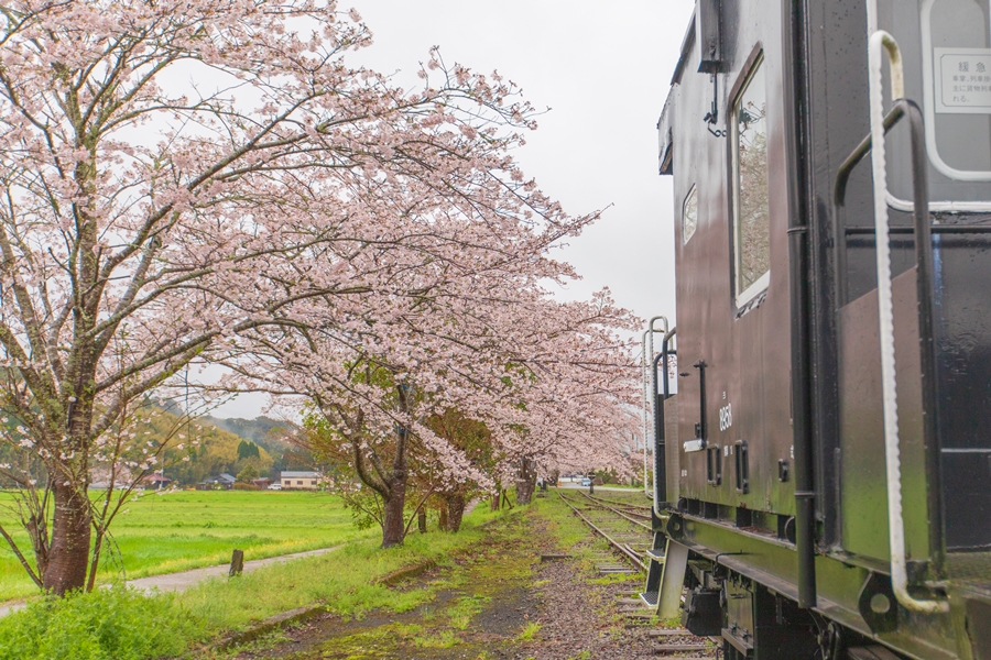 薩摩永野駅 保存された両渡り線分岐と永野鉄道記念館│Harada Office Weblog