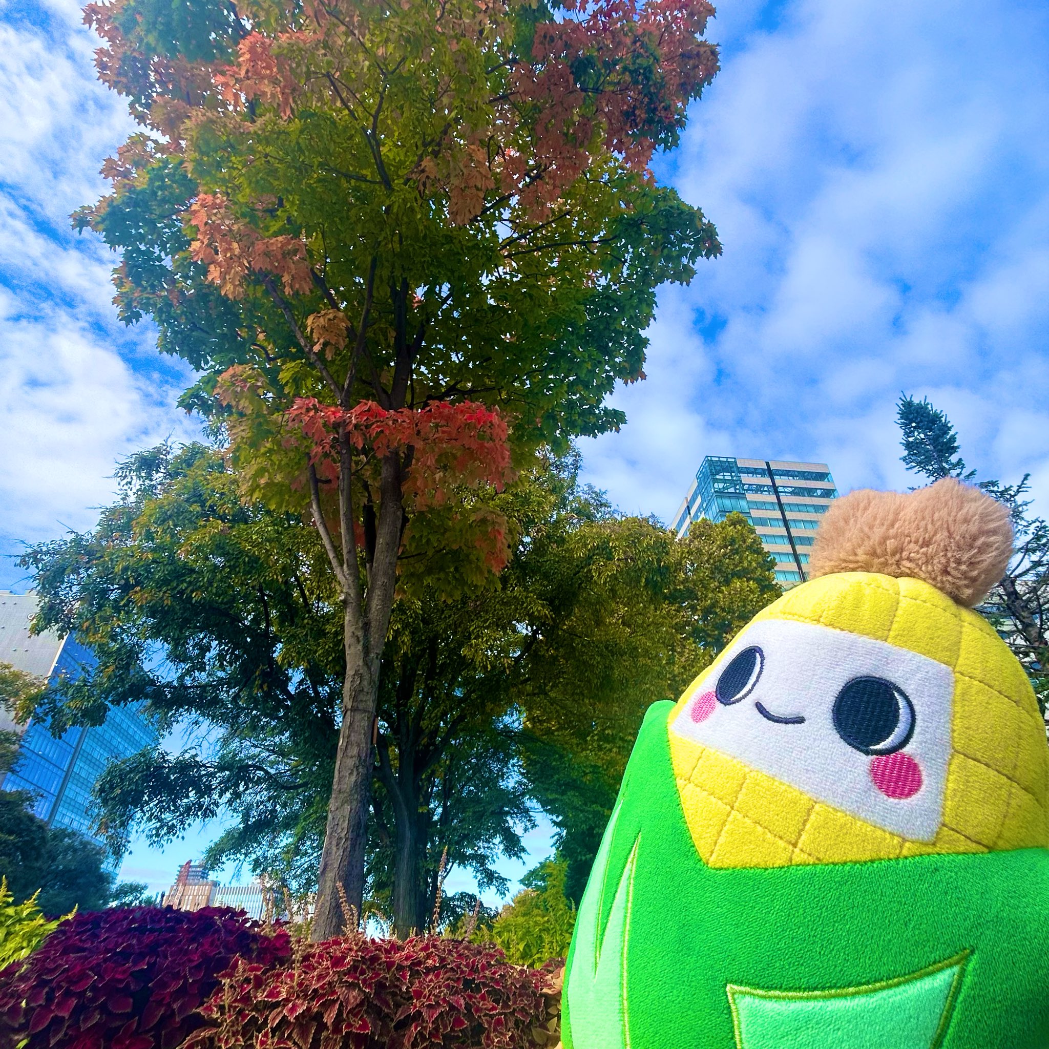 とうきびワゴン 大通 屋台- Retty