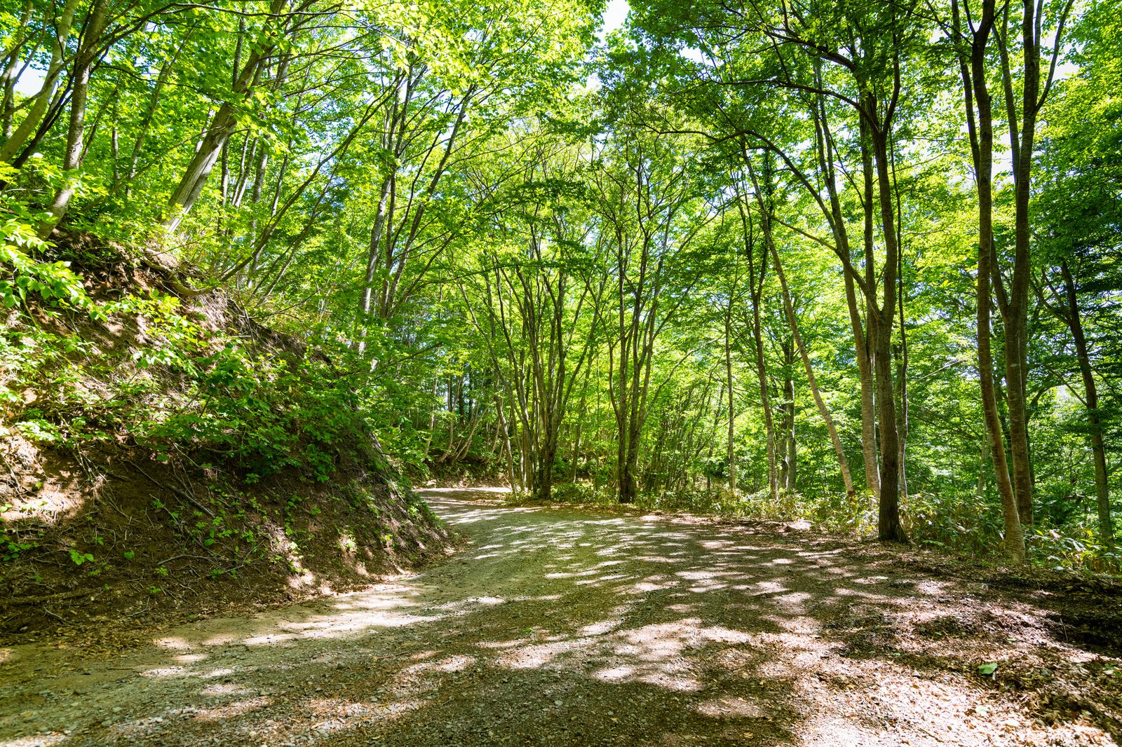 バイク旅 宮城県をまる一日満喫するツーリングおすすめ5選！行列ができる幻の港朝市もこっそり教えちゃいます。 Rebel1100T モトブログ GoldWing
