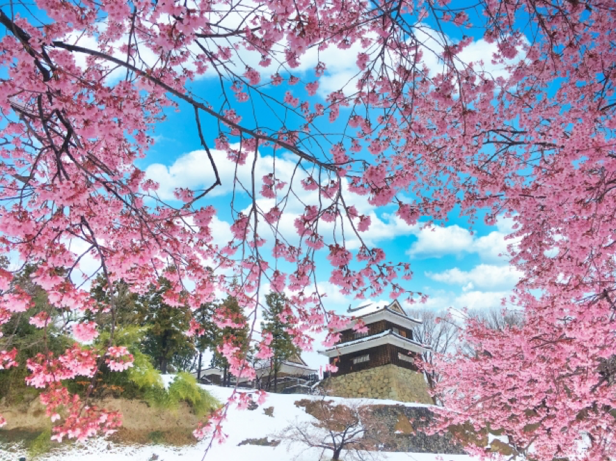 カップル必見 上田市のおすすめデートスポット総まとめ - 上田旅