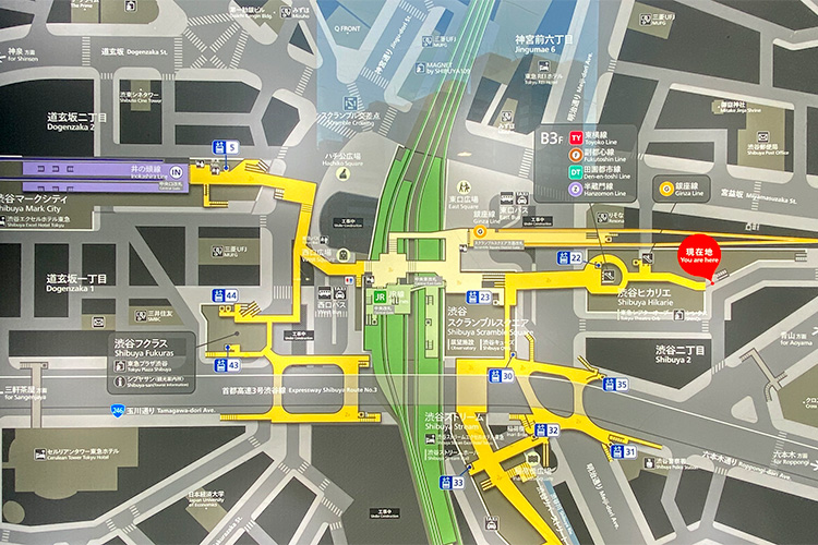 わからないから見ない」渋谷駅の構内図と選択的注意 羽田野健- エキスパート -