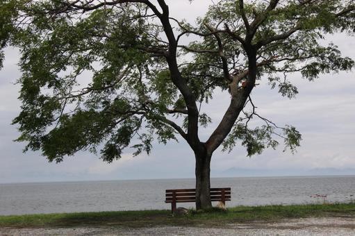 あのベンチの夕焼けしがのフォトコン!!2020しがのフォトコン