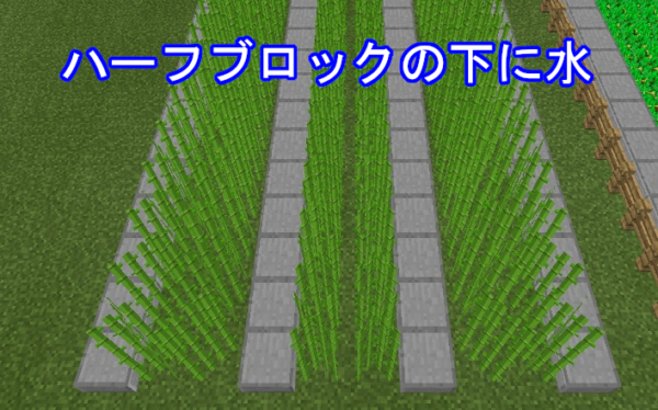 畑の作り方！農業の基本を解説します マインクラフト・統合版わすろぐ