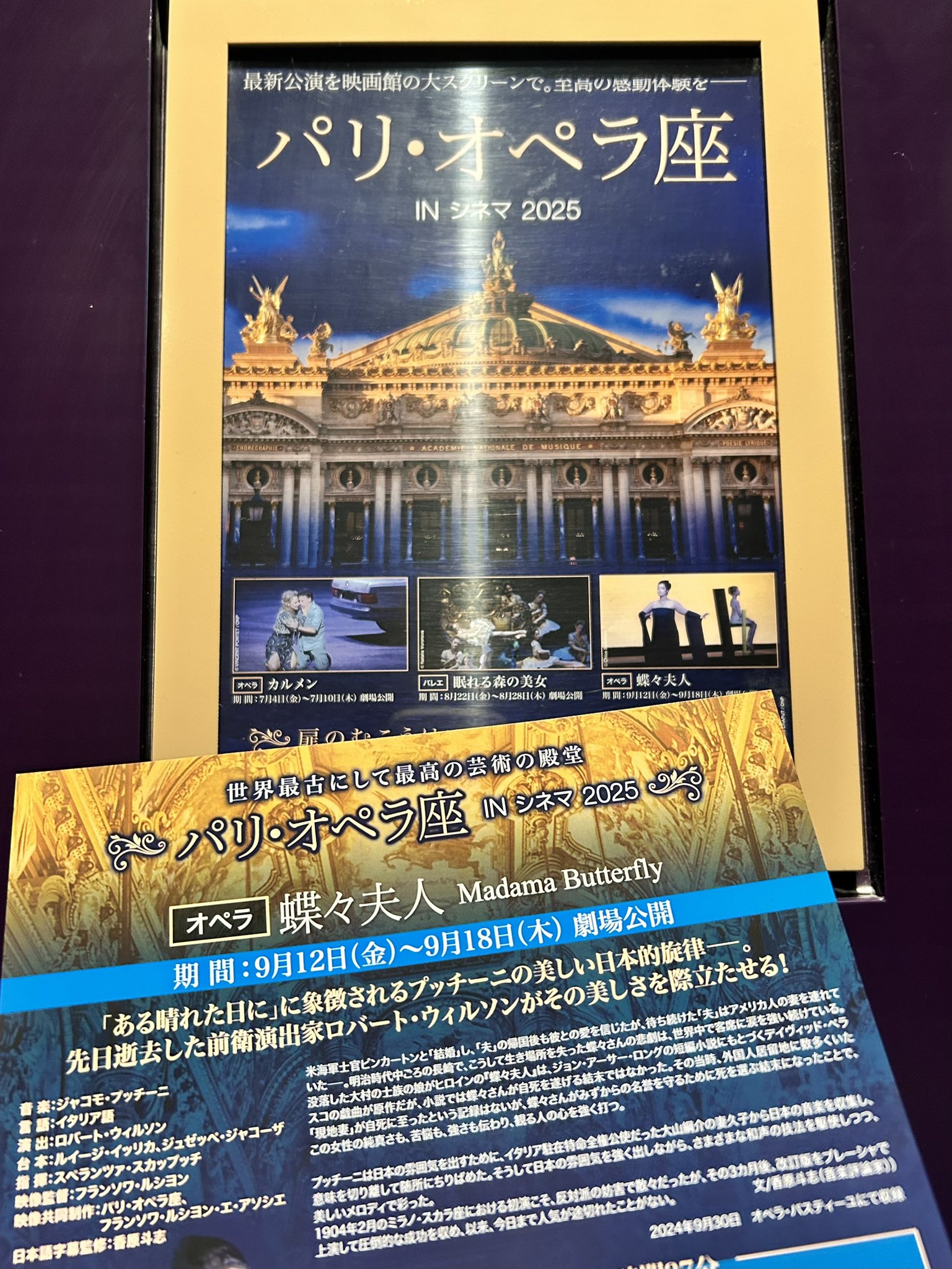 パリ・オペラ座バレエ・シネマ 2022 『プレイ』 の作品情報・あらすじ・キャスト -