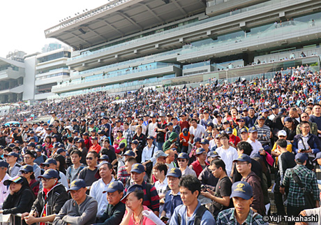 堀江の海外風ブランチカフェ MELLOWで楽しむ絶品スイーツ