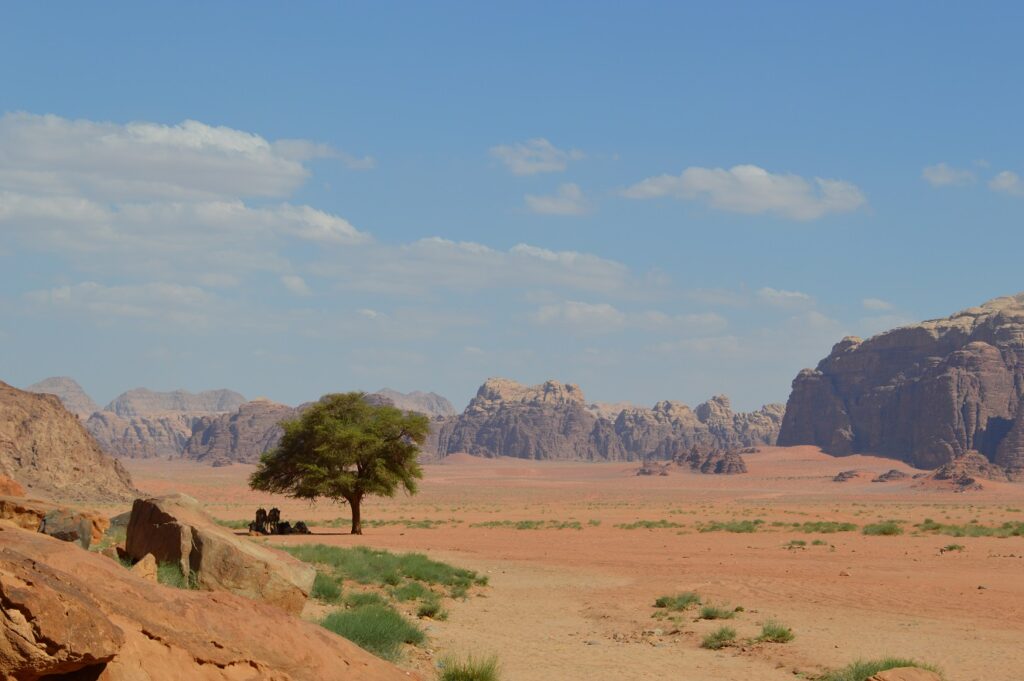 世界遺産ワディラム砂漠の荒野 写真素材2920306- フォトライブラリ