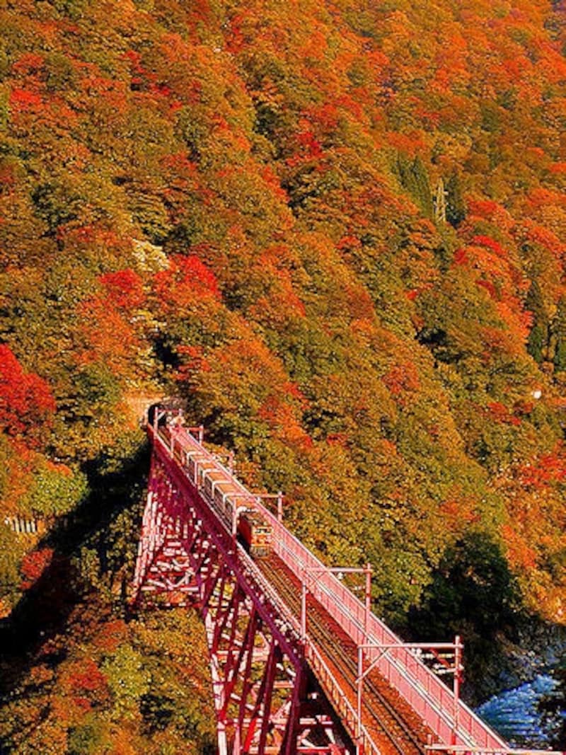 秋の黒部峡谷鉄道・快晴の空にトロッコ電車と紅葉 10816001202 の写真・イラスト素材アマナイメージズ