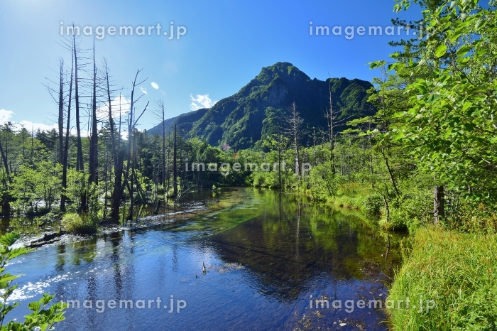 長野県 新緑が美しい夏の上高地 梓川と焼岳 写真素材7495418-