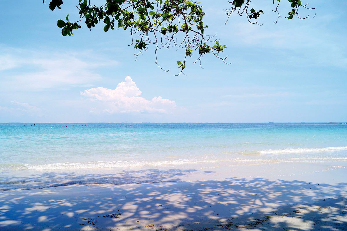 ビンタン島観光ガイド2025年版 未知なる楽園 ホテル・アクティビティ・癒しのリゾート情報