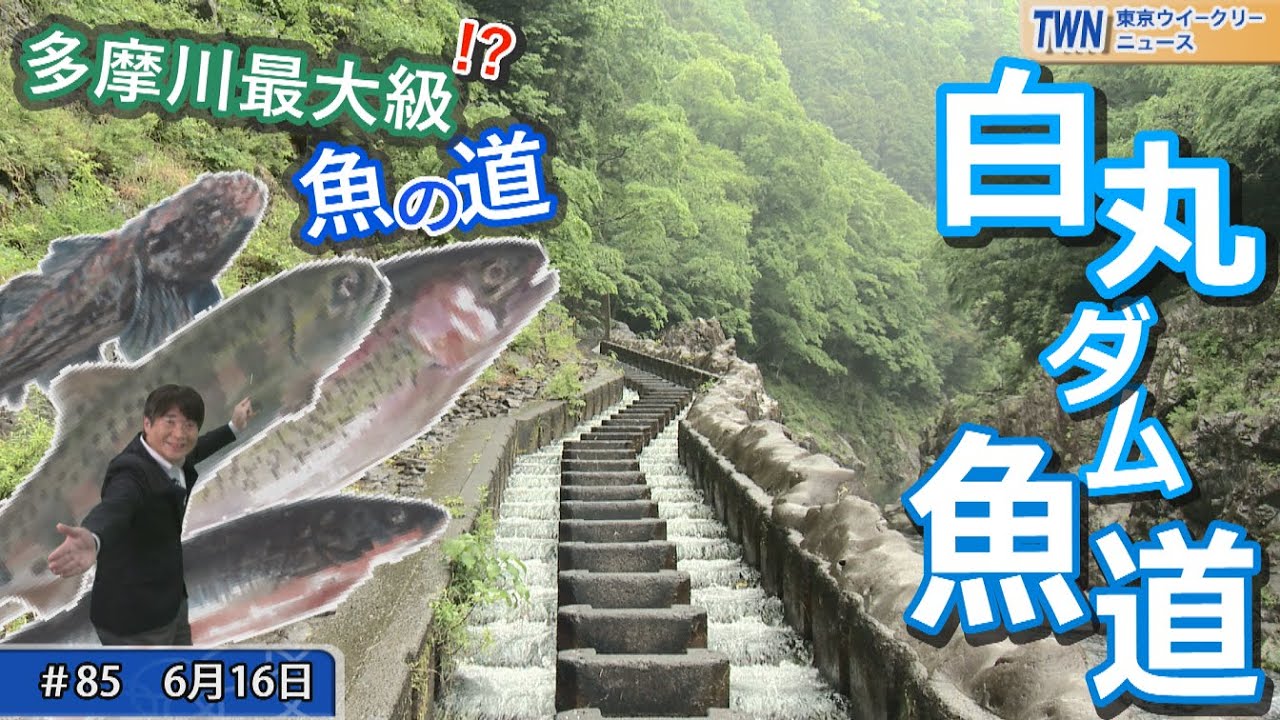 白丸ダム 魚道管理棟 -