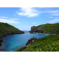 小笠原父島を歩く 4 4日目