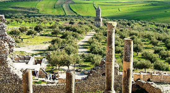 チュニス発 世界遺産ドゥッガ遺跡とブラ・レジア遺跡 日帰りツアー -公式