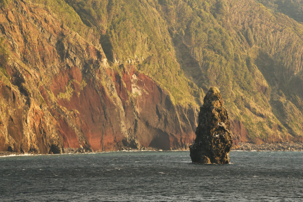 伊豆大島への行き方：東京・館山・久里浜・熱海・伊東からのアクセスアクティビティジャパン