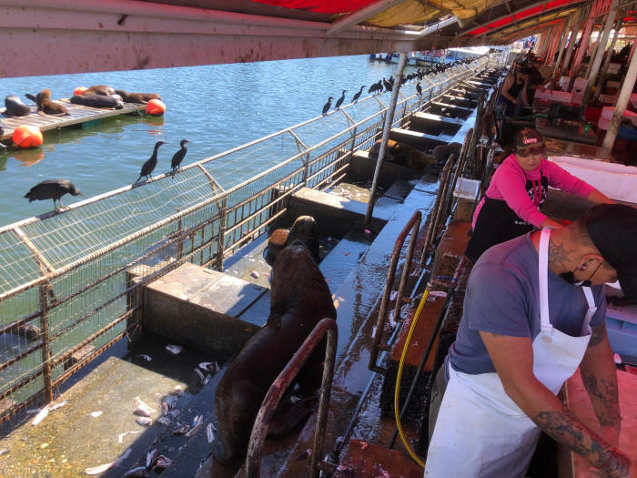 544 バルディビア県 Stock Photos,