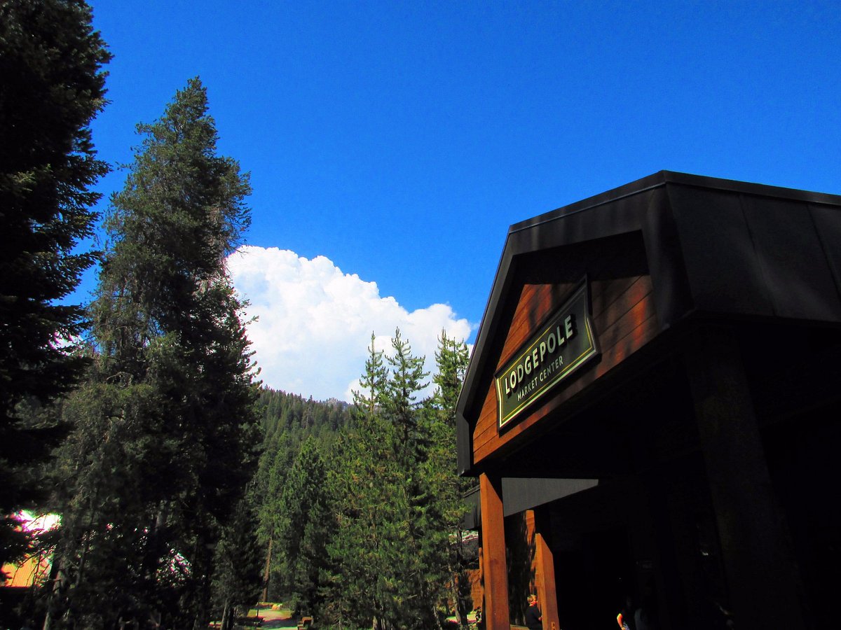 セコイア国立公園1日目③ ホテルで夕食CA☆Fun日記