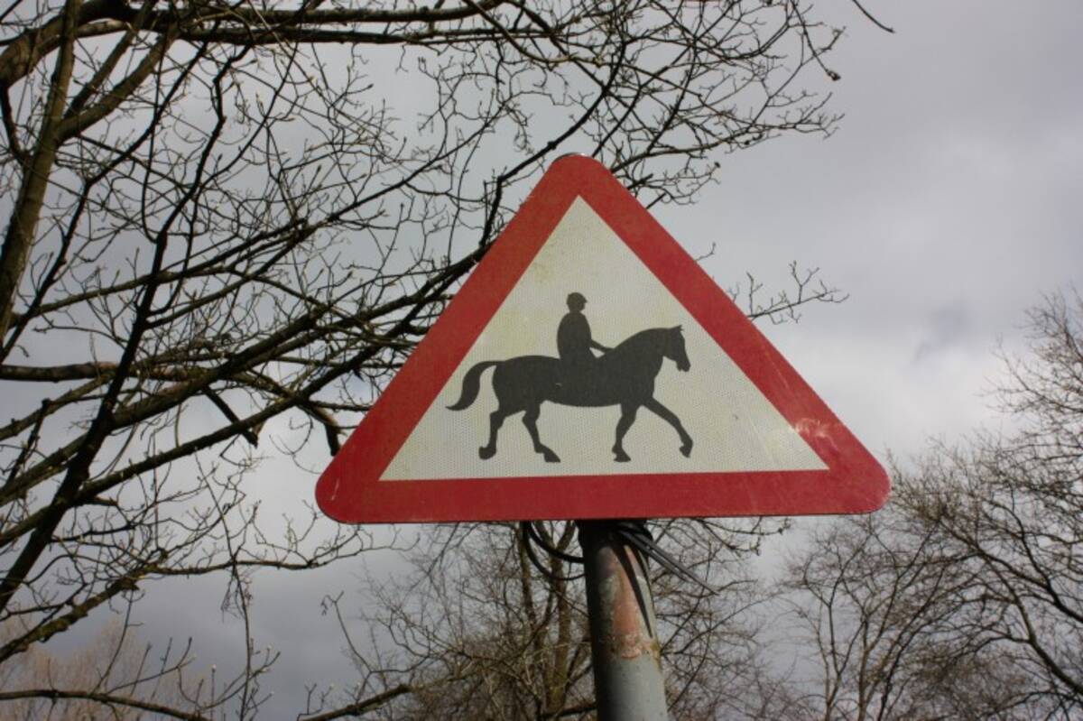 町でみつけたおもしろ看板、おしゃれ看板 ～ 面白サイン編