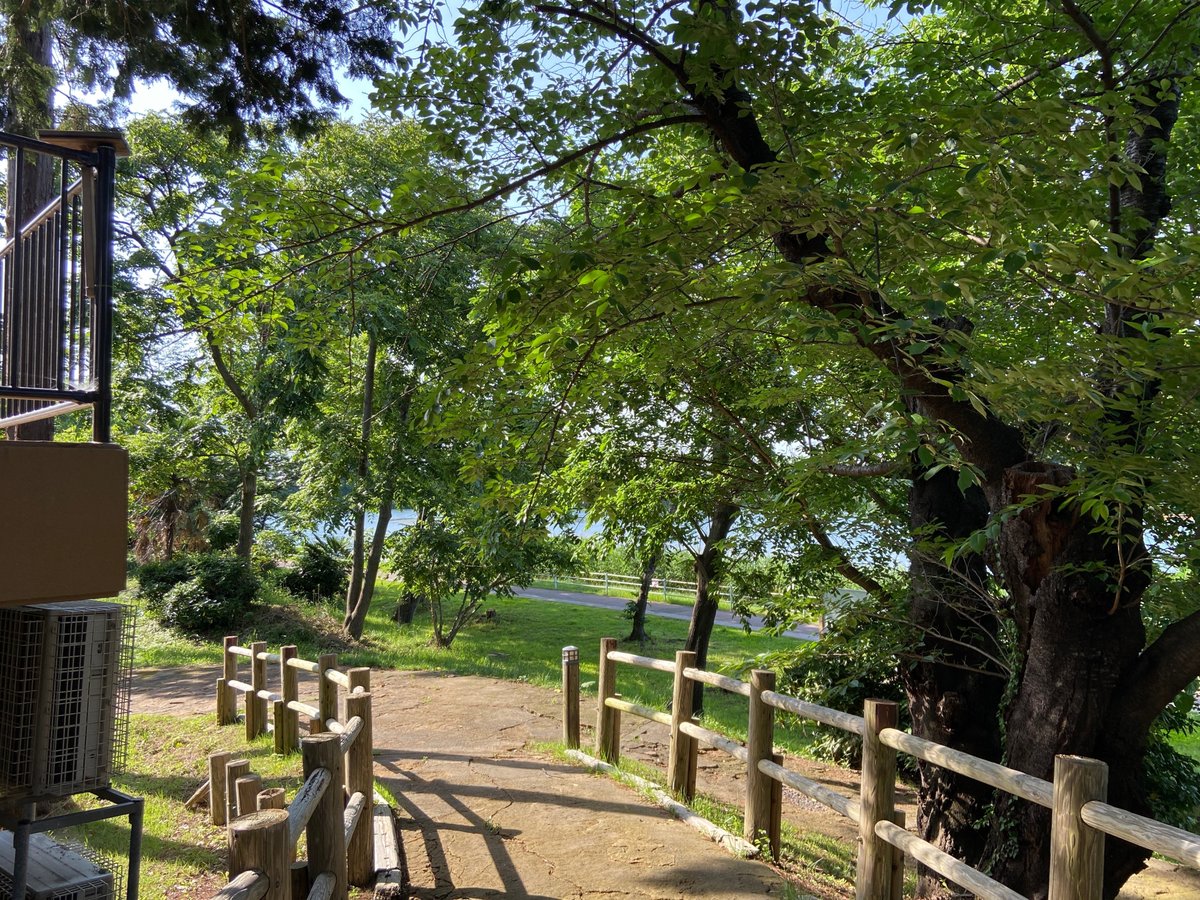 琵琶湖の大浦黒崎園地公園のバス釣りポイントを水中映像で紹介！マイナ－を攻略！水中映像から関西の釣り場を紹介