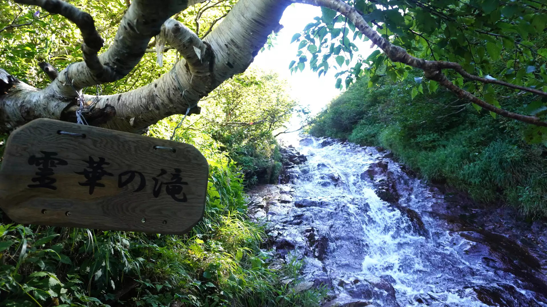 四万ブルーを体感できる3つのスポット『奥四万湖・桃太郎の滝・甌穴群』 中之条町シマグニノシマタビ