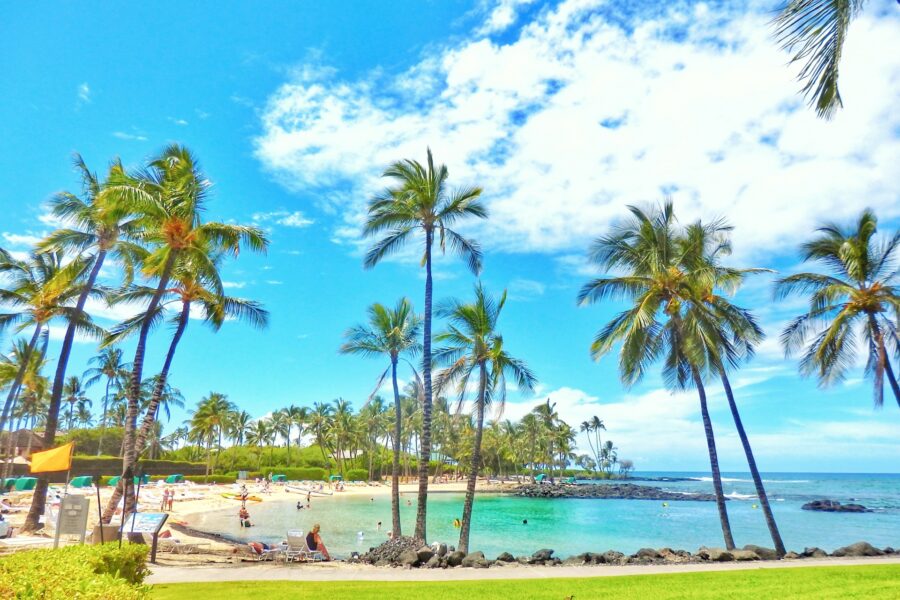 オシャレで喜ばれる！ハワイの人気お土産19選。女子ウケもOKトラベルマガジン