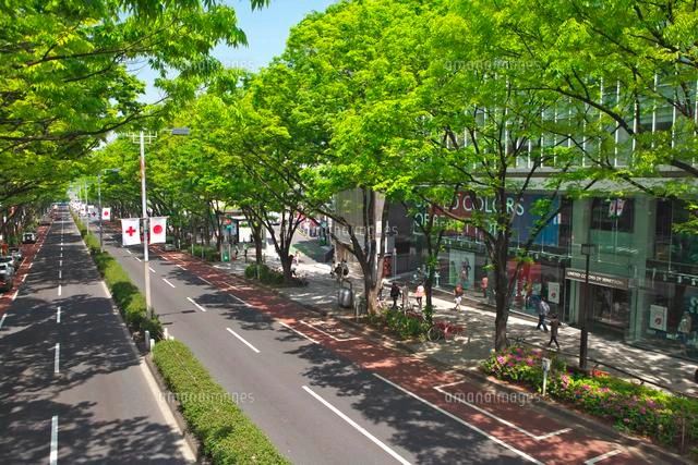 東京散歩 表参道の街並み 港区tokyo cityscape omote-sando