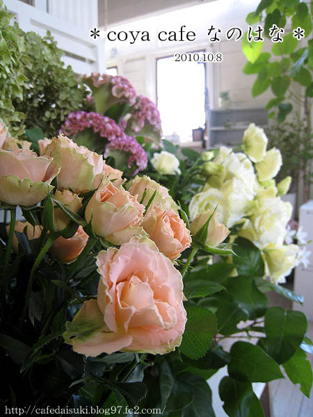 ターペー門のすぐ近くにあるノマドにピッタリなかわいい木の小屋のカフェ CoolMuang CoffeeTABI CAFE