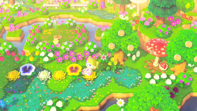 たま🍳🐾 on X: 