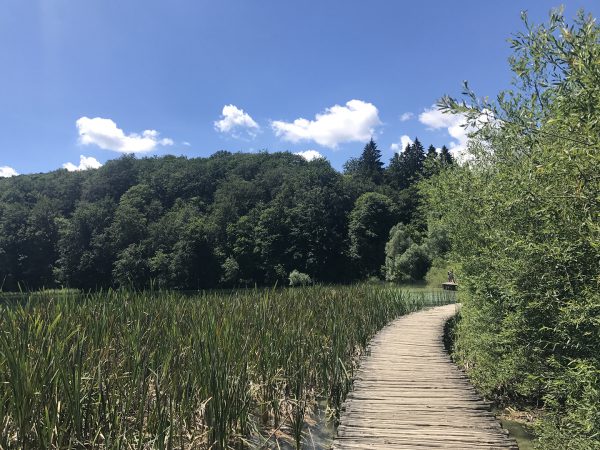 世界一周 day143 プリトヴィツェ湖群国立公園へ🇭🇷 ~世界一周新婚旅行~TK