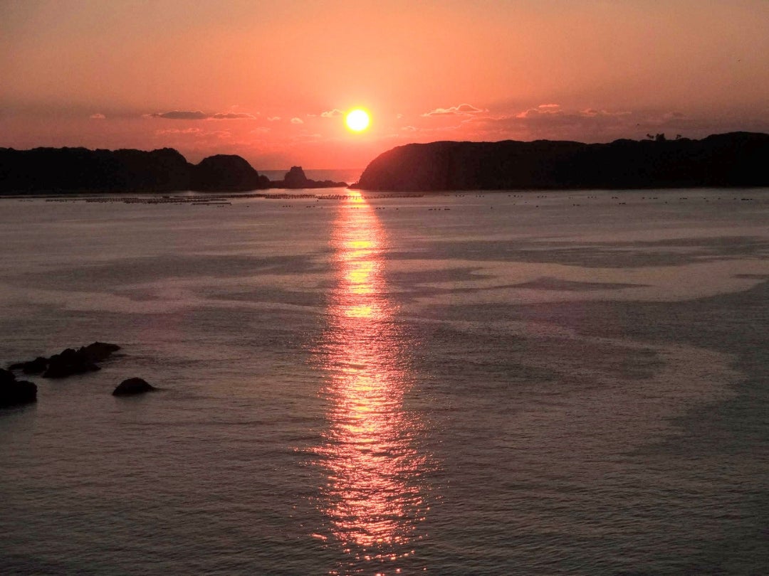 和歌山県の風景 2016年初日の出などその13愛ネコ「チビ」との珍道中