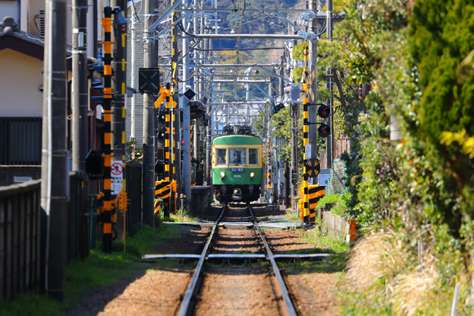 えのすいらが江の島回遊イベント開始 7つの島のエノシマセブンめぐり – 旅行新聞