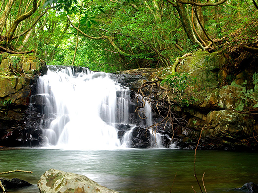 １度は行きたい九州観光のおすすめスポット32選！穴場やモデルコースも紹介 →公式 ツギツギ