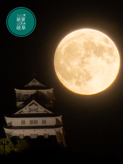 岐阜城と満月明日は十五夜、中秋の名月ですね。 今回は、大迫力の満月をバッグに岐阜城を写したこちらの作品をご紹介します。 メインの被写体である月
