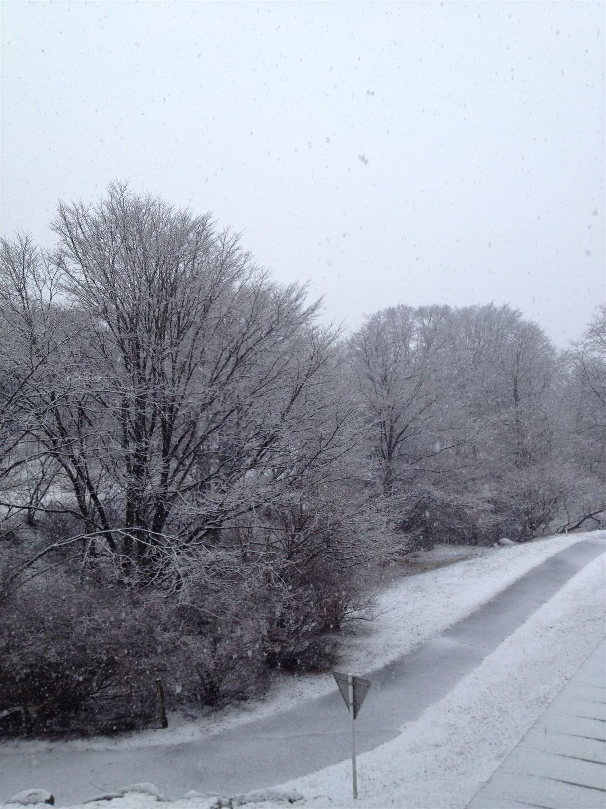 冬の軽井沢を観光するならここ！12月のおすすめ観光地13選