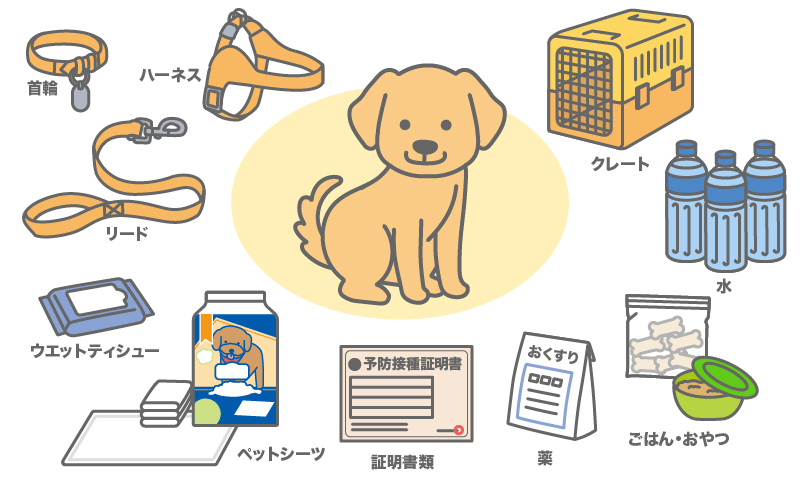 愛犬と旅行に行こう！犬との旅行に必要な持ち物は？犬の総合情報サイト ペットスマイルニュースforワンちゃん