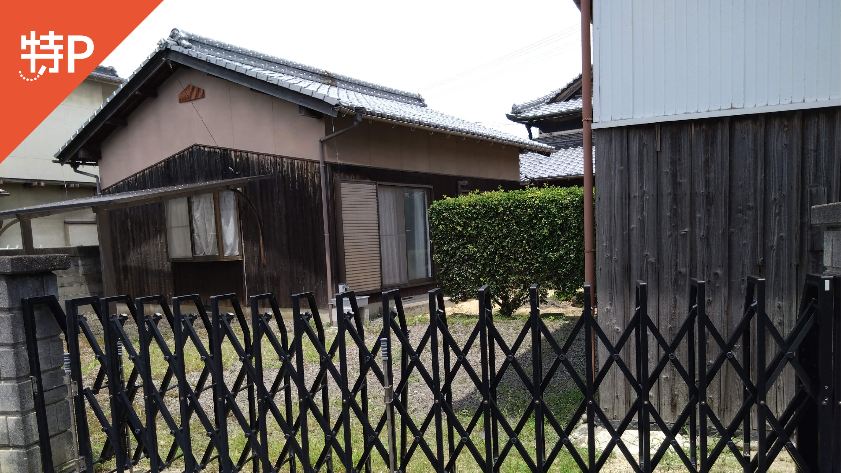 特急いしづち１号松山行 宇多津駅からしおかぜ１号松山行併結iそうだ ウサギさんに逢いに行こう。セカンド