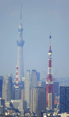 東京タワー・スカイツリーを巡る約13Km・22kmのランニングツアー！！ほとんど全員が初参加☆彡e-moshicom イー・モシコム