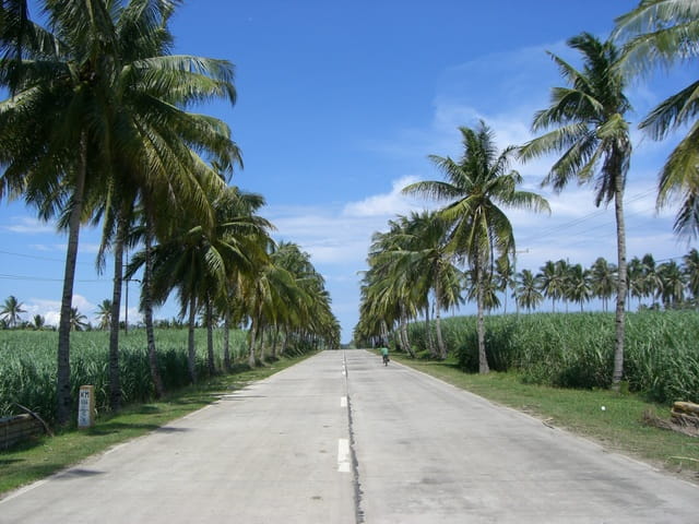 サマール島丸わかりガイド！行き方からおすすめ観光スポットまでたっぷり紹介します - ネイティブキャンプ英会話ブログ英会話の豆知識や情報満載