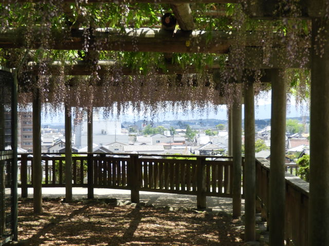 日本100名城第48番 築城の名手である蒲生氏郷が築城した松坂城！スタンプ設置場所や見どころ、アクセスや駐車場、所要時間等をご紹介！むさしの散歩日記