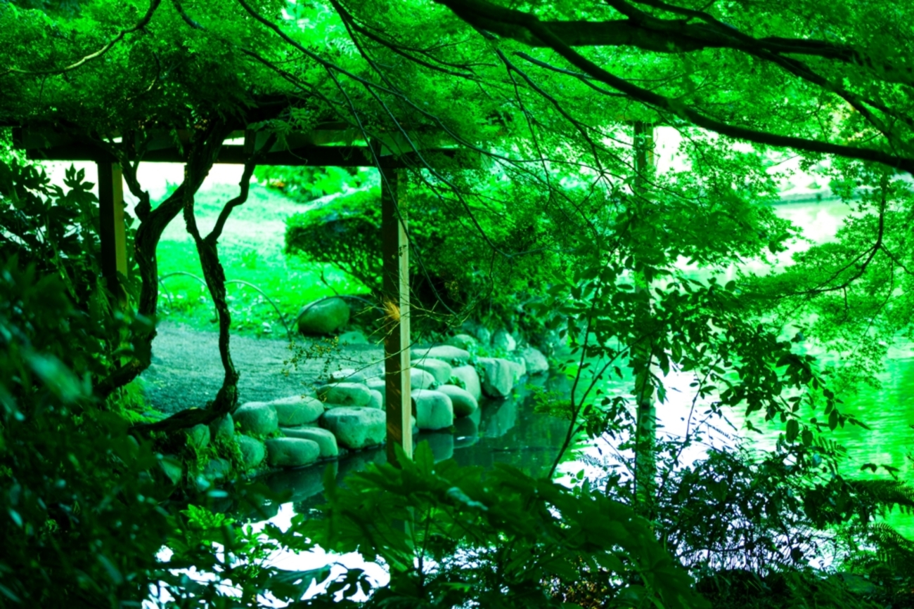 聖地巡礼 『言の葉の庭』のロケ地巡り雨に彩る初夏の新宿御苑 - FotoReiser