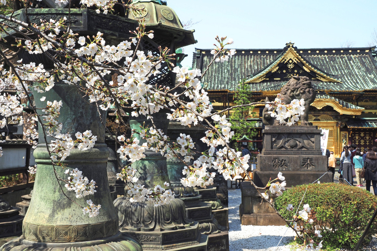 上野東照宮上野神社- LIVE JAPAN日本の旅行・観光・体験ガイド