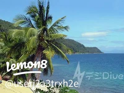 セブ島北部とレイテ島の間に浮かぶ小さな無人島。まるで天国のような幻の楽園 「カランガマン島」 :: セブトリップフィリピン・セブ島情報メディアサイト