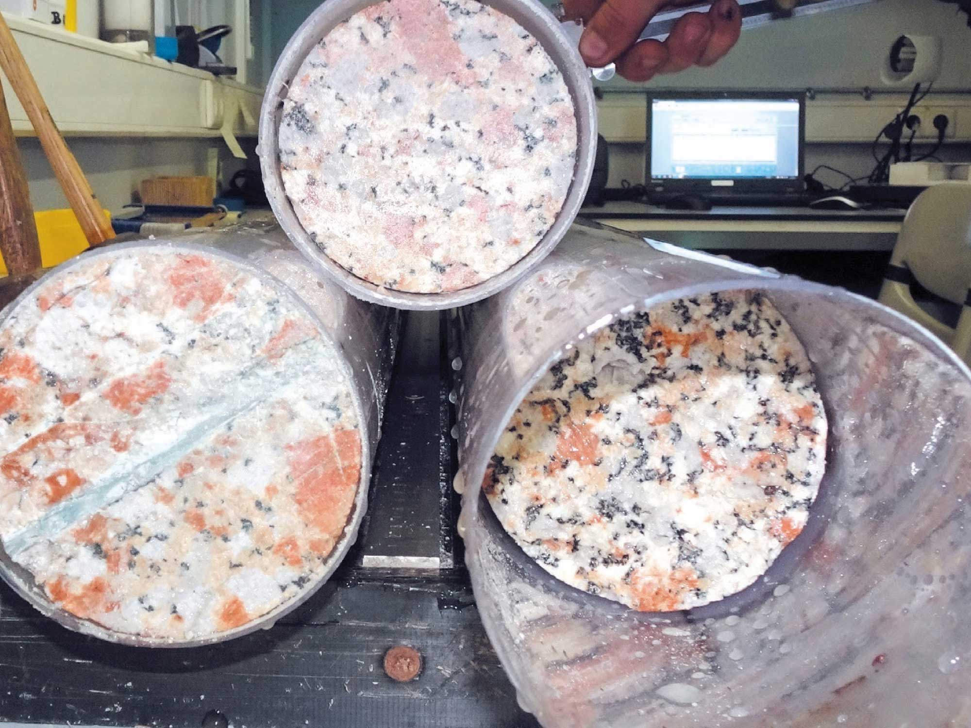 恐竜絶滅の可能性は実は低かった⁉︎ 隕石衝突の最新研究Pen Online