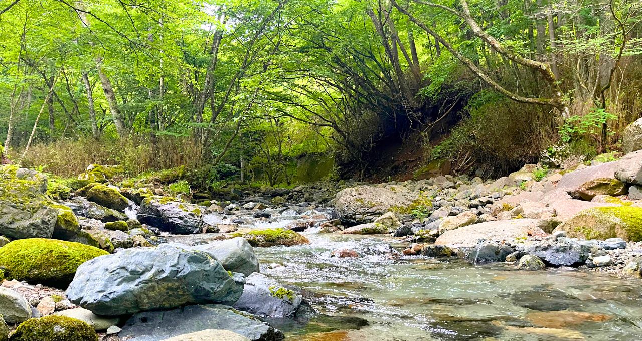 エレファンタ石窟群 チケット＆ツアーゲットユアガイドGetYourGuide