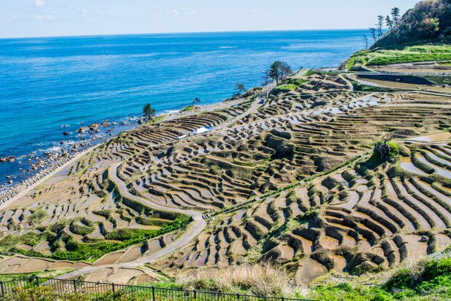 2025年 和倉で人気の観光・お出かけスポット 17選 - Yahoo!トラベル