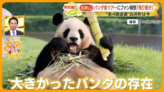 中津江村とカメルーン