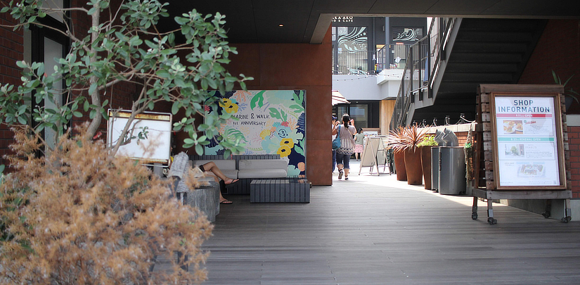 アクティビティ海と自然を同時に味わえる「マリン＆ウォーク ヨコハマ」 横浜なのに横浜ではない、海外にきた気分で過ごしちゃおう全国のドライブスポットの紹介タビーク