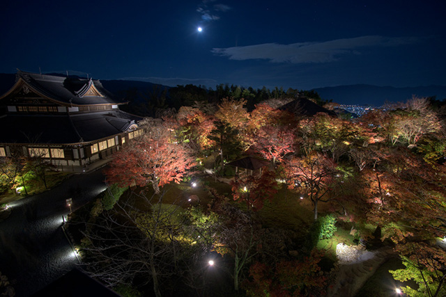 関西の夜景ランキング 2025年