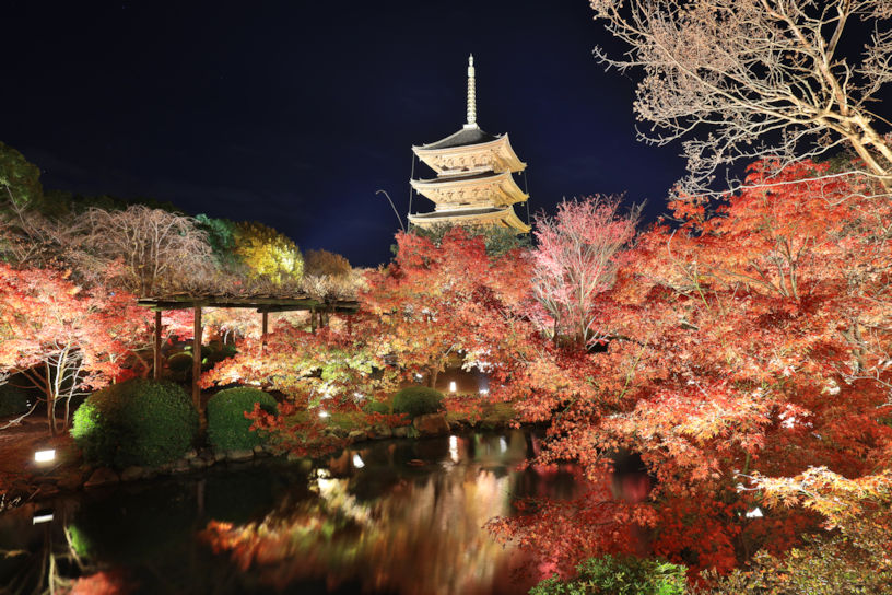 京都 観光 夜間拝観＆ライトアップを紹介アクティビティジャパン