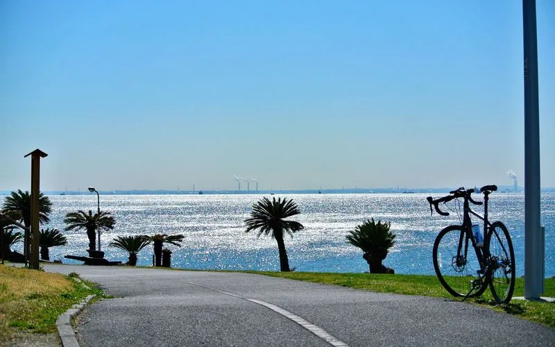 海辺 ピクニック 関東TikTok