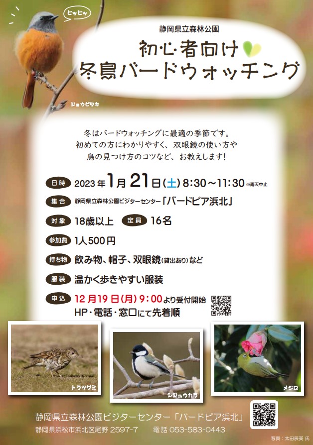 Amazonバードウォッチング迷彩スーツ - リーフ迷彩コスチューム