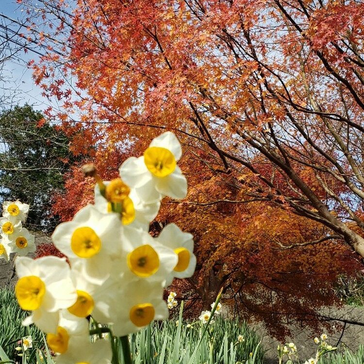 千葉県鋸南町の季節限定カフェ「藁珈琲洞」☕️ ⁡ 鋸南町の「佐久間ダム湖親水公園」内にあるカフェ、藁珈琲洞